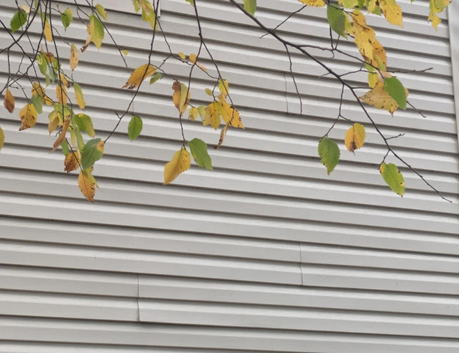 Top-rated Siding Replacement Cookeville, TN